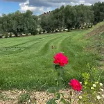 Gospodarstwo agroturystyczne Planet *