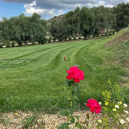 Vakantieboerderij Planet *